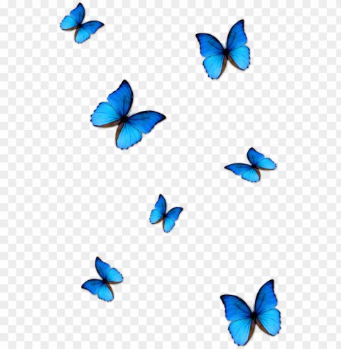 kisspng butterfly blue phengaris alcon blue butterfly - butterfly effect photo editi PNG images with transparent layering