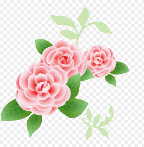 kit de rosas y flores vintage para diseños - rosas vintage PNG Image with Clear Background Isolation