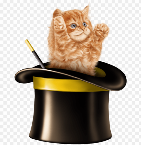 kitten cartoon kitten cats and kittens tube - cat in magic hat Free PNG images with alpha channel compilation