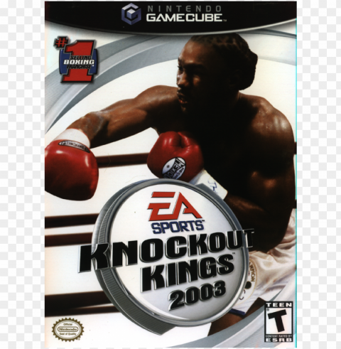 knockout kings 2003 Transparent PNG Isolated Element