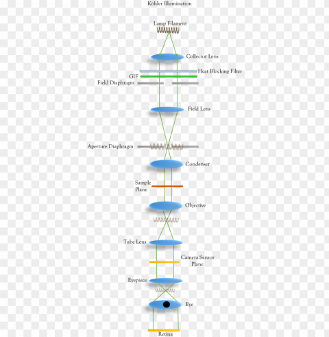 köhler illumination-conjugate focal planes of the lamp - aligning your microscope for kohler illuminatio PNG transparent images mega collection PNG transparent with Clear Background ID baa34166