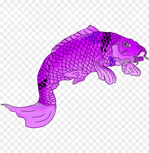 koi PNG images with transparent layer