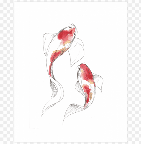 koi fish watercolor - koi fish drawing watercolor PNG for online use