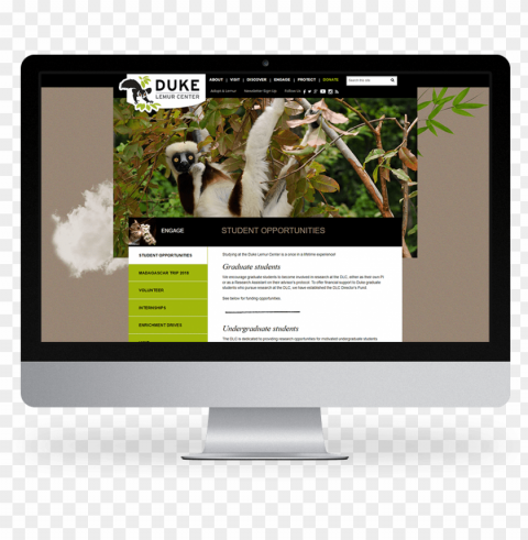 kompleks web design duke university lemur center - computer monitor Transparent picture PNG