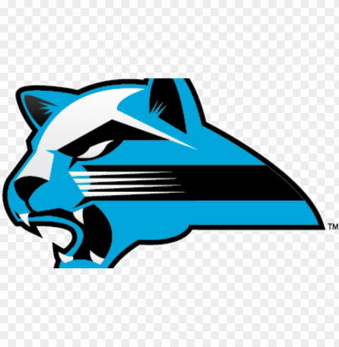 kvcc cancels women's basketball season - kalamazoo valley community college PNG Image with Isolated Graphic
