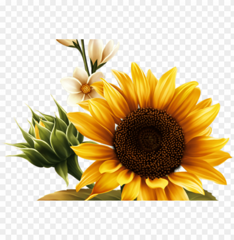 kwiaty flowers - sunflower flag clipart PNG transparent graphics for download