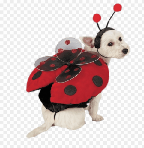 lady bug costume for dogs PNG objects