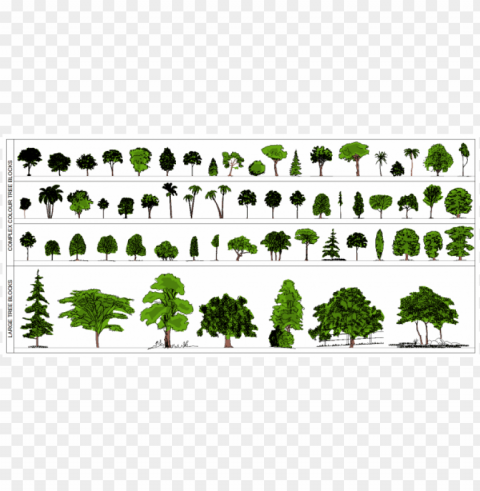lan and elevation of trees PNG with Isolated Object