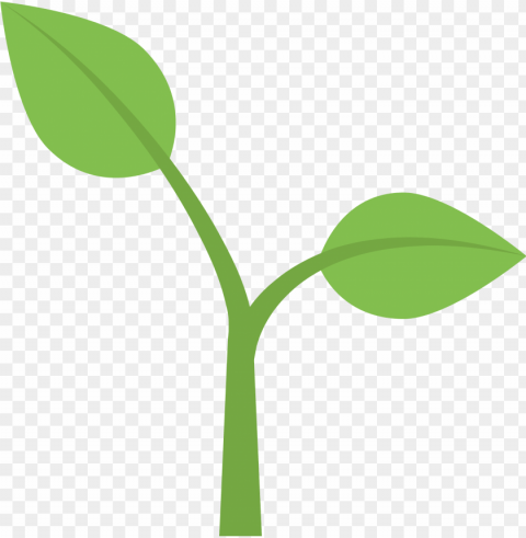 lant emoji - seedling emoji Clear Background PNG Isolated Graphic Design