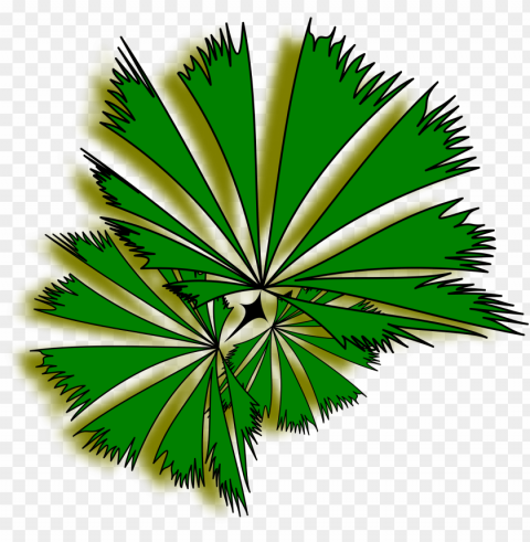 lant top view png - palm tree top view clipart Alpha channel PNGs