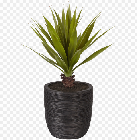 lante artificielle en pot noir h71cm-yucca - pot de plante Transparent PNG Isolated Object