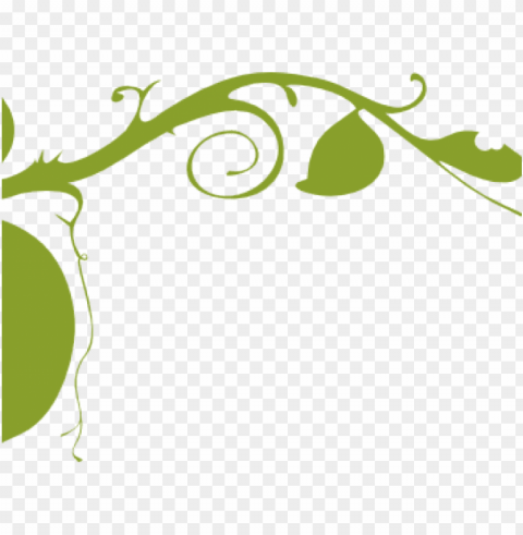 lanting cliparts border - vines vector black and white PNG images with alpha transparency layer