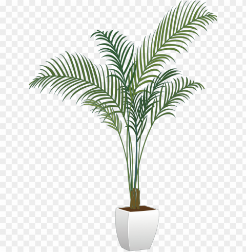 Lants Houseplant Flowerpot Arecaceae Vector Green - Potted Tree Transparent PNG Isolated Item With Detail