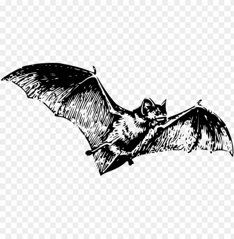 large bat tattoo Isolated Design Element in Clear Transparent PNG