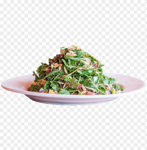 large plate of green salad topped with nuts - food on plate side view PNG images with alpha transparency wide selection
