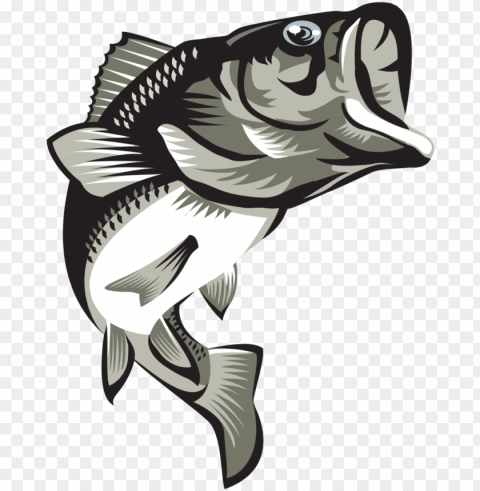 largemouth bass final2coloured Clear background PNG graphics PNG transparent with Clear Background ID fe230e6e