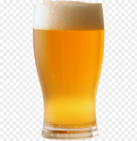 lass of beer vector free download - cold glass of beer PNG with clear background set