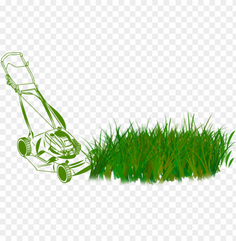lawn care services - lawn mower PNG with no bg