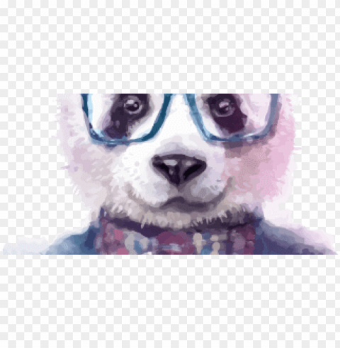 layerslider 02 bear - watercolor graphic hipster animals Clear Background Isolated PNG Object