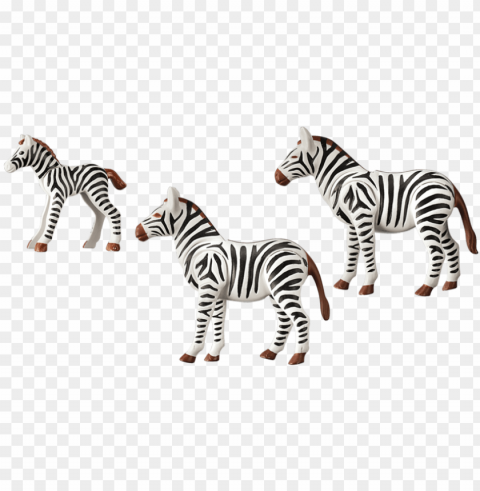 laymobil zebra family - zebra family clipart Free download PNG images with alpha transparency PNG transparent with Clear Background ID 3cf68a46