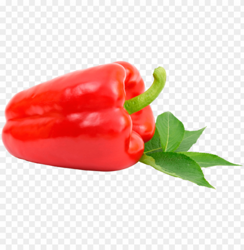 lc agro - pimiento morron rojo Isolated Element on HighQuality Transparent PNG