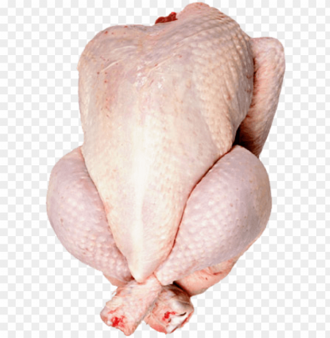 leading distributor of seafood and meat - whole chicken with ski Isolated Icon in Transparent PNG Format