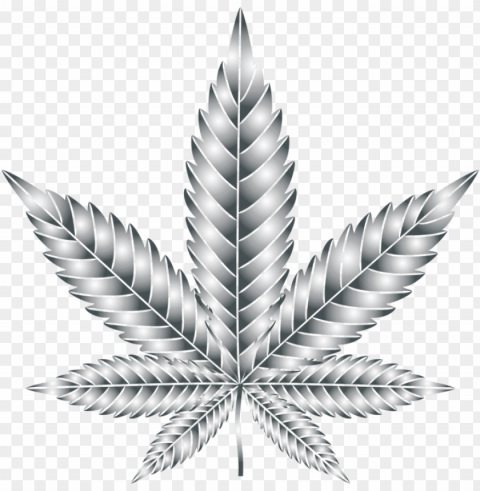 leaf cannabis symmetry silhouette multiculturalism - clip art Isolated Character in Clear Background PNG