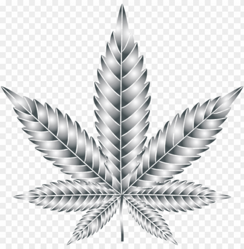 Leaf Cannabis Symmetry Silhouette Multiculturalism - Clip Art Isolated Character In Clear Background PNG