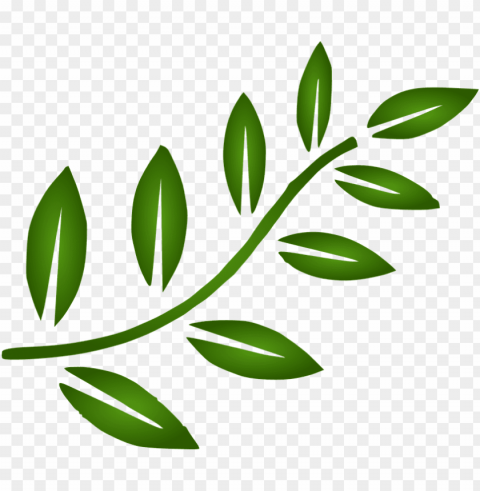 leaf google search ideas cafeteria pinterest leaves - black leaves clip art PNG files with clear backdrop assortment