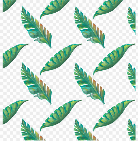 leaf tropics drawing - tropical leaves pattern PNG transparent graphics bundle