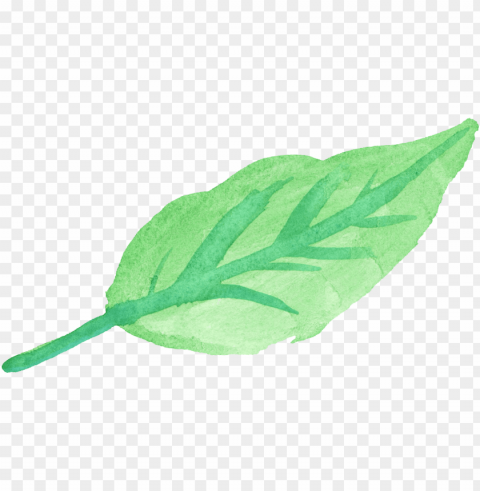 leaf watercolour Transparent PNG Isolated Object