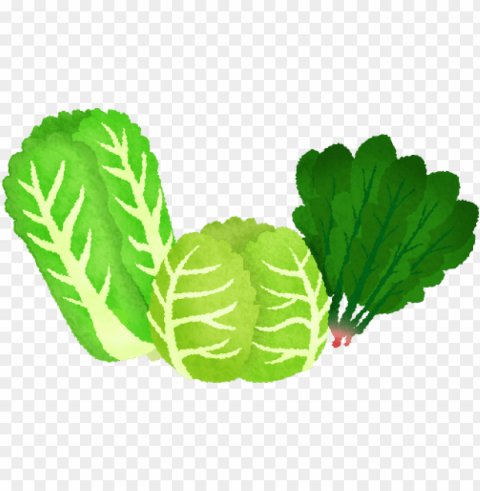 leafy vegetables - green leafy vegetables clipart Transparent Background Isolation in HighQuality PNG