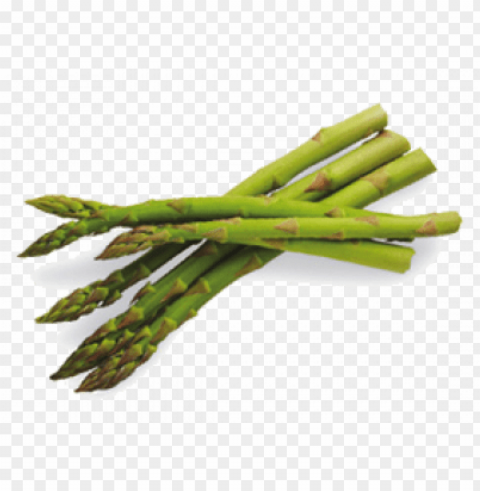 leaves - asparagus - vegetables asparagus Transparent Background PNG Isolated Art