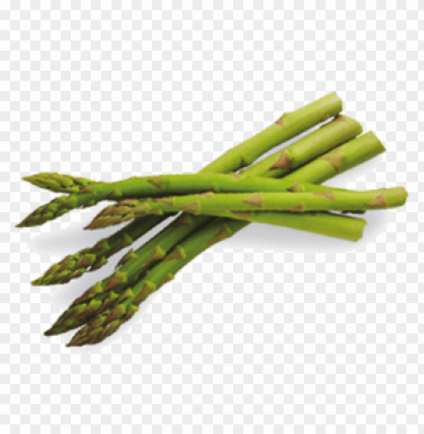 leaves - asparagus - vegetables asparagus Transparent Background PNG Isolated Art PNG transparent with Clear Background ID 85b2bd7b