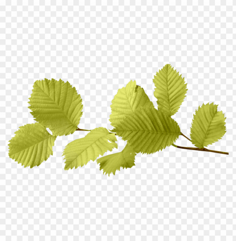 leaves PNG pictures with alpha transparency images Background - image ID is 249310e7