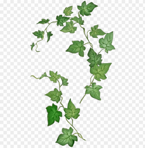 leaves green kpopedit edits edit overlay - poison ivy plant drawi PNG files with alpha channel