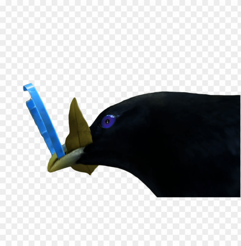 lemme smash blue PNG transparent pictures for editing