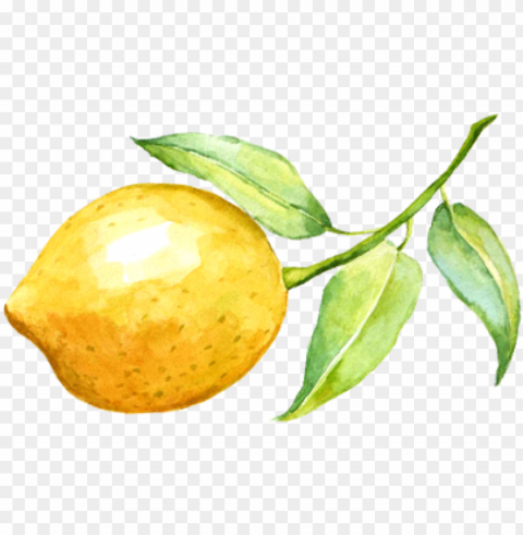 lemonade watercolor graphic transparent stock - water color lemon PNG Image with Clear Isolated Object