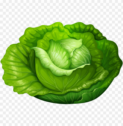 lettuce clipart single vegetable - lettuce clipart PNG Image Isolated with Transparent Detail