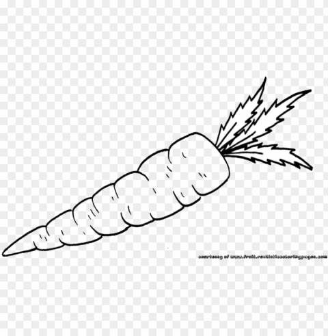 library library carrot clipart vegatable - carrots black and white PNG with isolated background