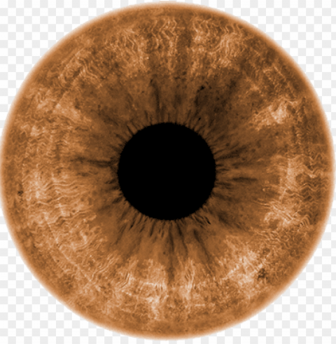 light brown eyes transparent Free download PNG with alpha channel PNG transparent with Clear Background ID 400ee23b