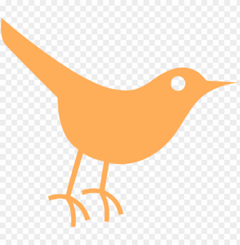 light orange twitter bird icon svg s 600 x PNG transparent designs for projects