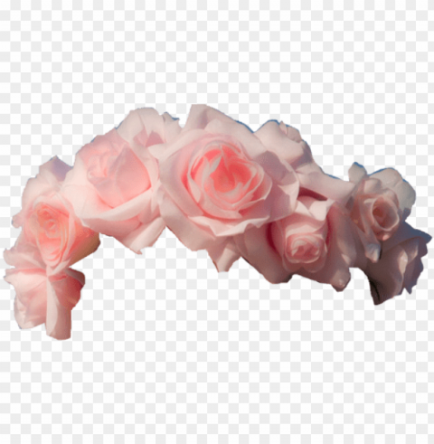 light pink roses flower crown transpa image 218 - pink flower crown PNG with Clear Isolation on Transparent Background