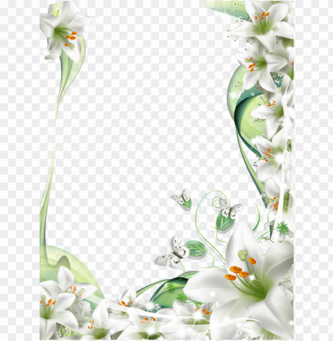 lilies frame suitable for sympathy card frames - white lily flower frame PNG graphics for presentations