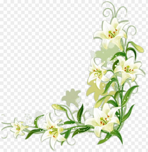 lilium candidum border flowers - white lily flower border Isolated Element with Clear Background PNG PNG transparent with Clear Background ID b38f3193