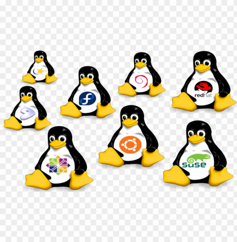 linux hosting clipart hosting - linux distributions PNG images for editing
