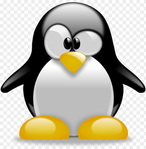 linux logo transparent No-background PNGs