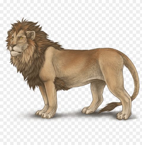 lioden - lion drawing in color PNG images with alpha mask