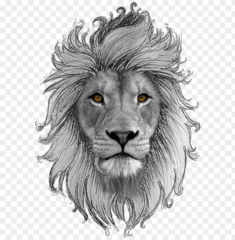 lion art drawings sketches zodiac society drawing - wildlife heritage foundatio PNG no watermark