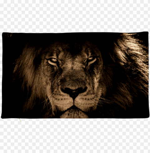 lion face pillow case - iphone wallpaper lion hd PNG with transparent background for free
